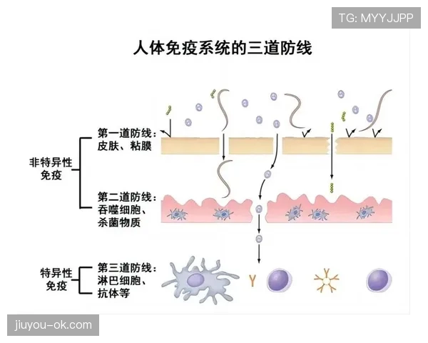 贝利连续三场主导进攻,盘带突破如何成为撕裂防线的胜负手? 贝利连续三场主导进攻,盘带突破如何成为撕裂防线的胜负手?